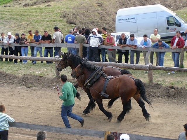 P6081082 - concurs de tractiune