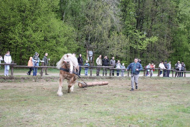 wejherowo_2010 (11) - concurs de tractiune