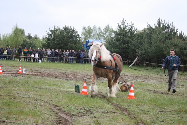 wejherowo_2010 (12) - concurs de tractiune