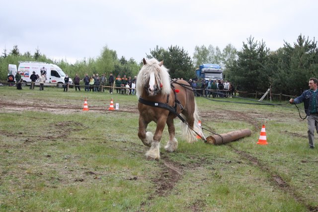 wejherowo_2010 (13) - concurs de tractiune