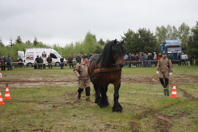 wejherowo_2010 (15) - concurs de tractiune