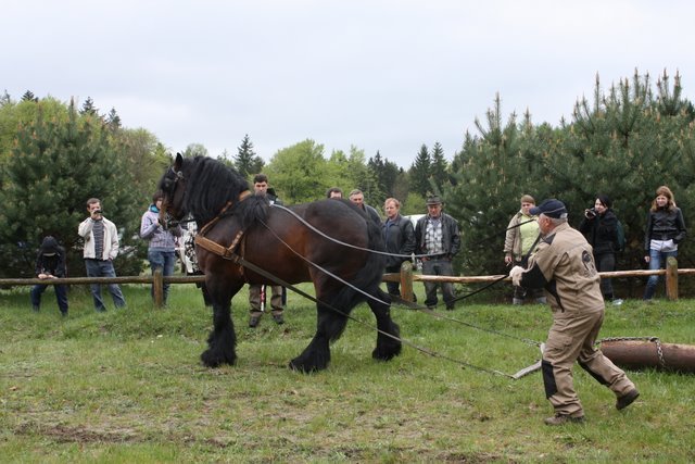 wejherowo_2010 (18) - concurs de tractiune
