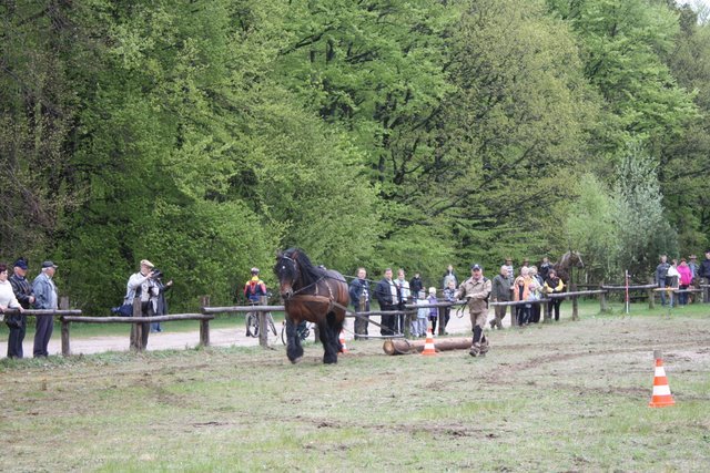 wejherowo_2010 (19) - concurs de tractiune