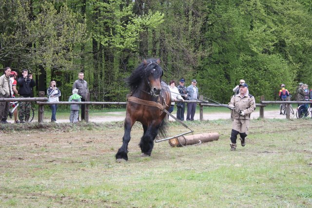 wejherowo_2010 (20) - concurs de tractiune