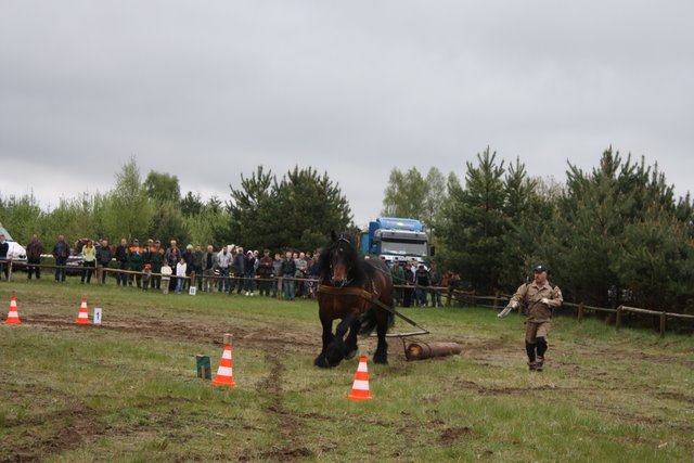 wejherowo_2010 (22) - concurs de tractiune