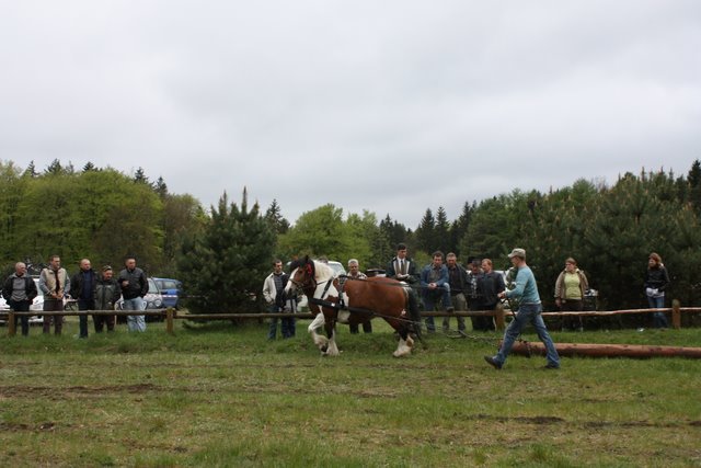wejherowo_2010 (25) - concurs de tractiune