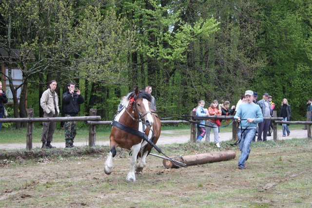 wejherowo_2010 (27)