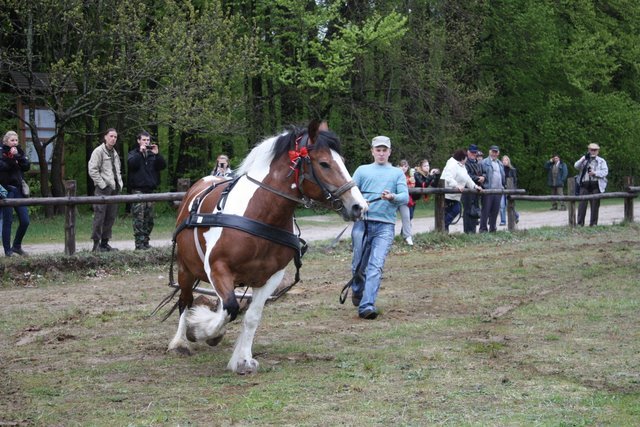 wejherowo_2010 (28) - concurs de tractiune