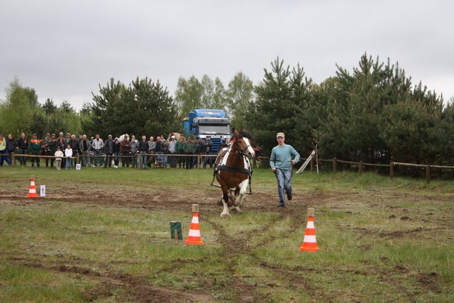 wejherowo_2010 (29) - concurs de tractiune