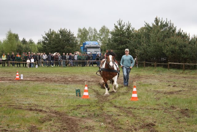 wejherowo_2010 (30) - concurs de tractiune
