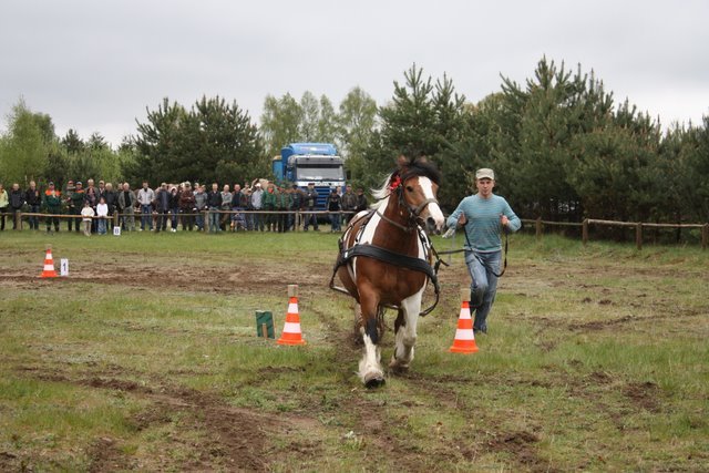 wejherowo_2010 (31) - concurs de tractiune