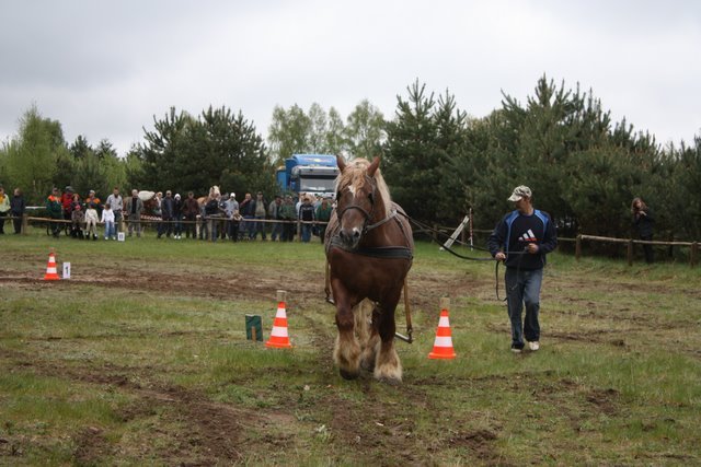 wejherowo_2010 (35)