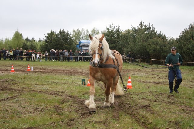 wejherowo_2010 (42) - concurs de tractiune