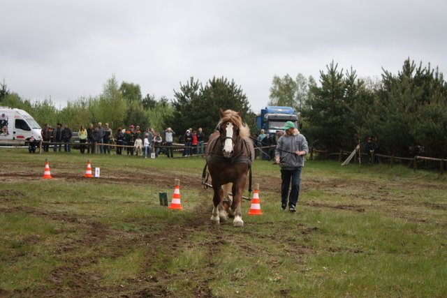 wejherowo_2010 (45) - concurs de tractiune