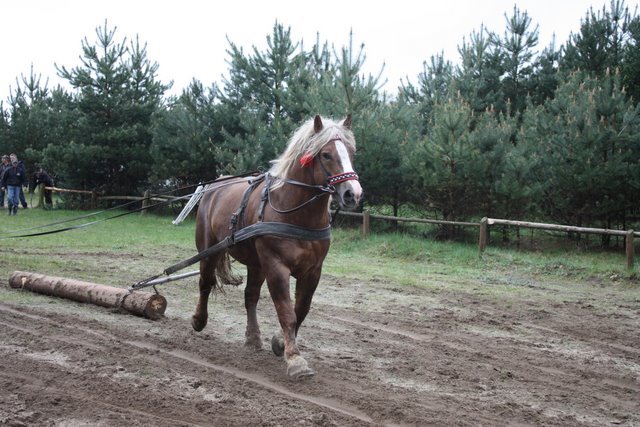 wejherowo_2010 (65)