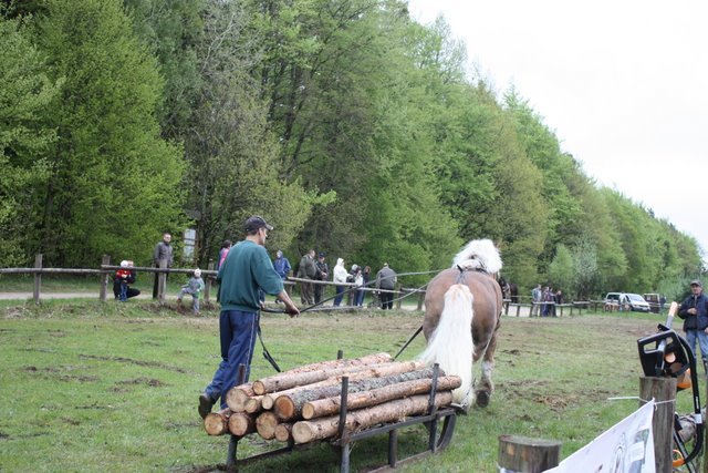 wejherowo_2010 (80)