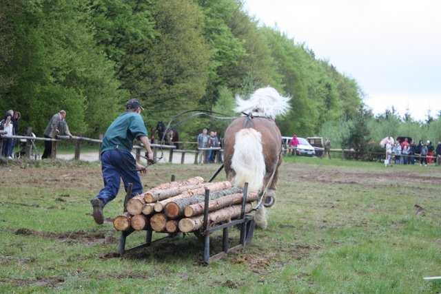 wejherowo_2010 (82)