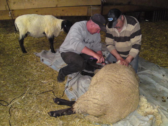 ei si al doilea e pe maini bune