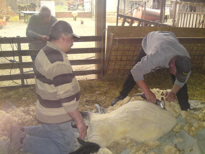 imediat e gata patronul se uita