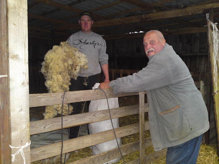 cam astai lana n-are valoare