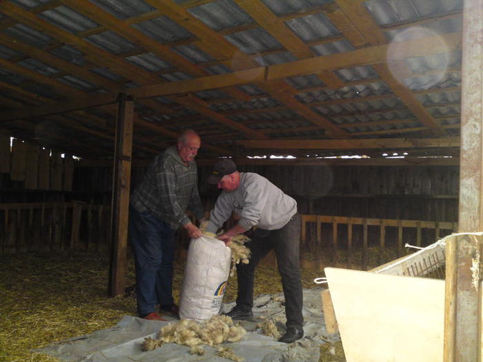 gata anul asta cu tunsul