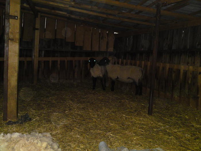 gata santem tunsi -ne e cam frig