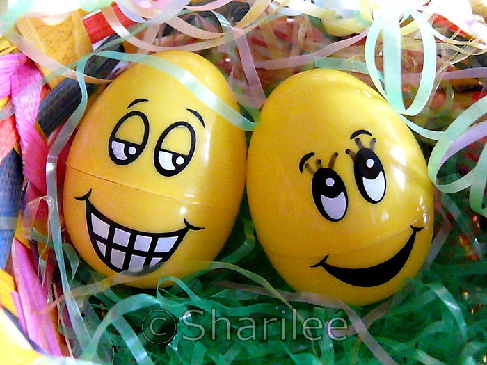 Happy Eggs - Xx Eggs
