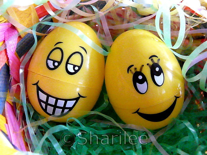 Happy Eggs