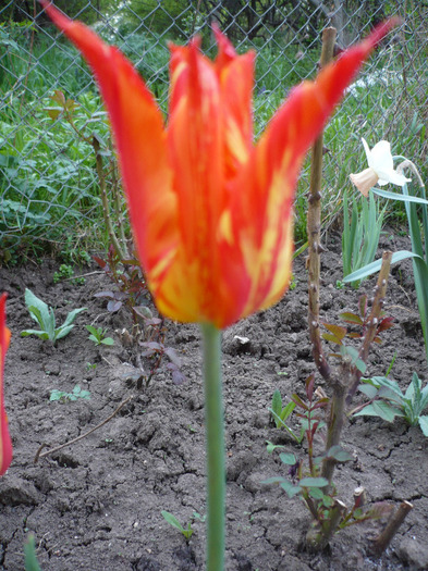 018