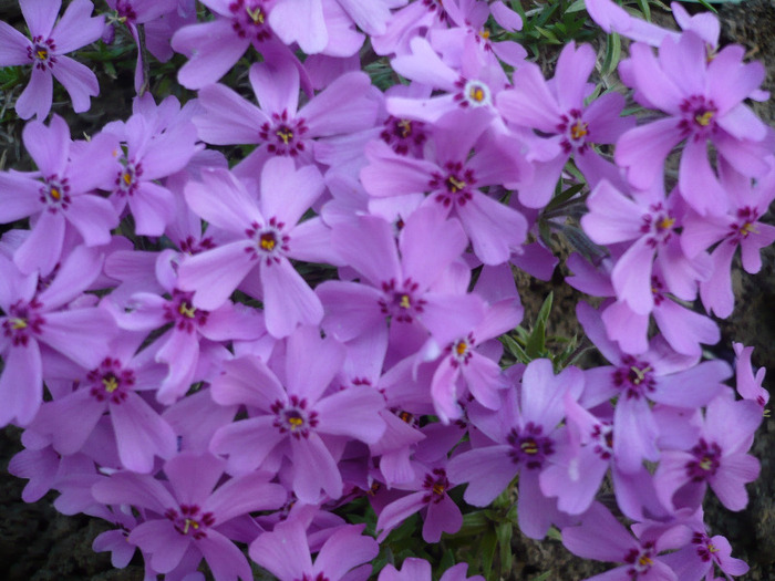 032