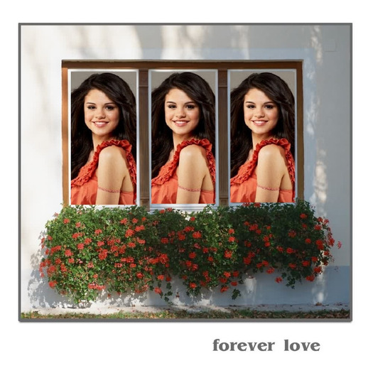 selena gomez - 30 - album pentru fanii selena