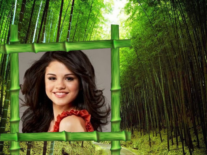 selena gomez - 32 - album pentru fanii selena