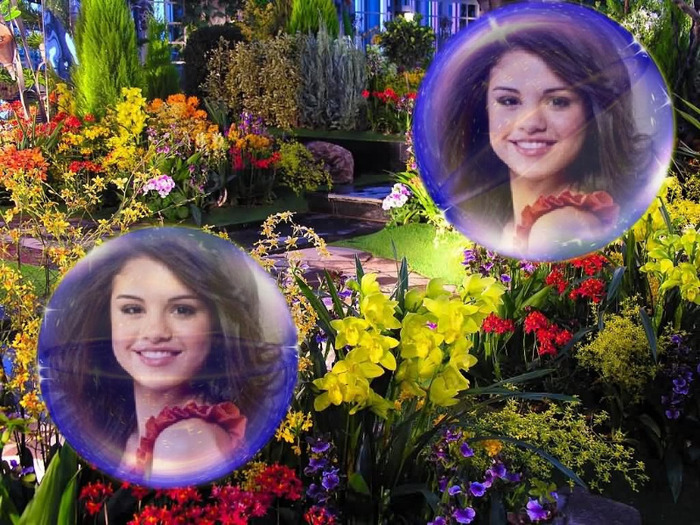 selena gomez - 34 - album pentru fanii selena