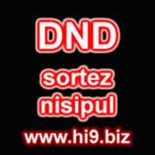 dnd sortez nisipul - dnd