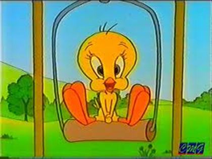 tweety - Tema 3