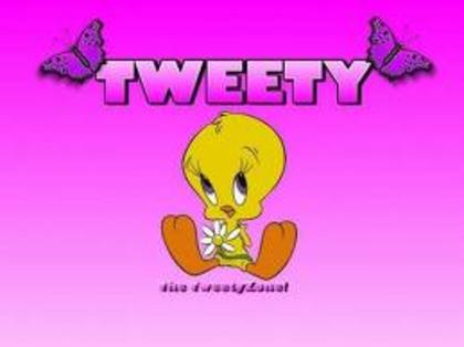 tweety - Tema 3