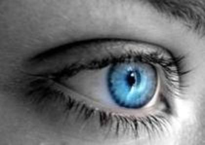 Ochi albastru deschis - Eyes