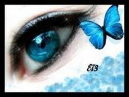 Ochi albastru+Fluture albastru - Eyes