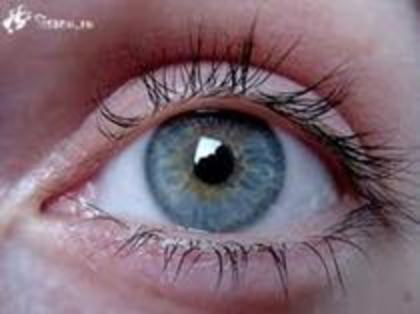 Ochi albastru-oceanic - Eyes