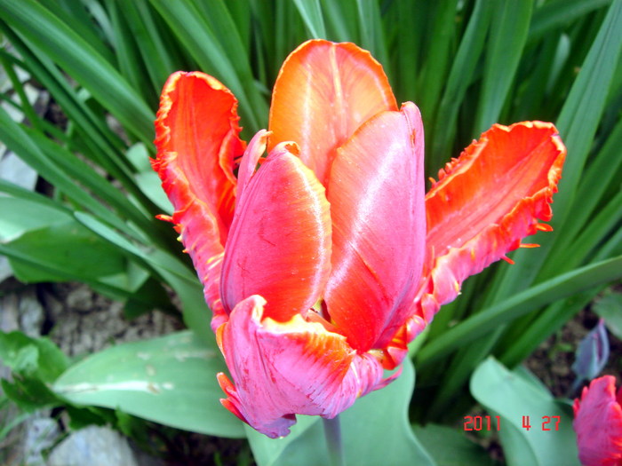 DSC00007