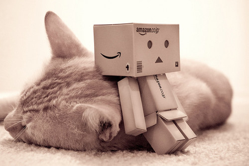 5545657698_328b94b4e7_z_large - CutIUTsa DANbo xx