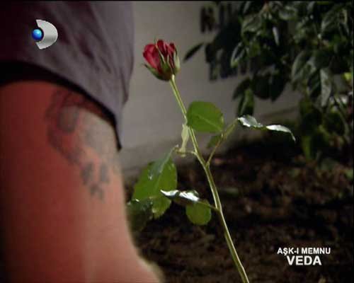 36903_402972426812_295314926812_4954873_6253337_n