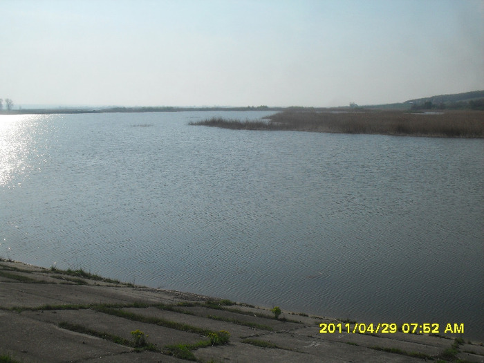 Balta Fliondor; Balta Fliondor
