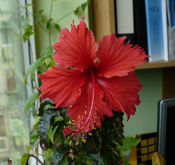 P1330534