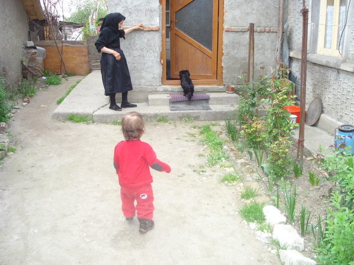 DSC02490