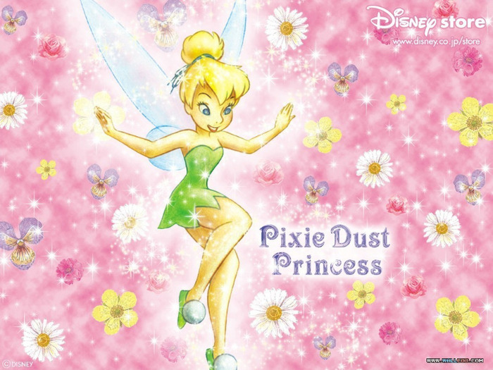 wallpaper-tinkerbell3 - tinkerbell