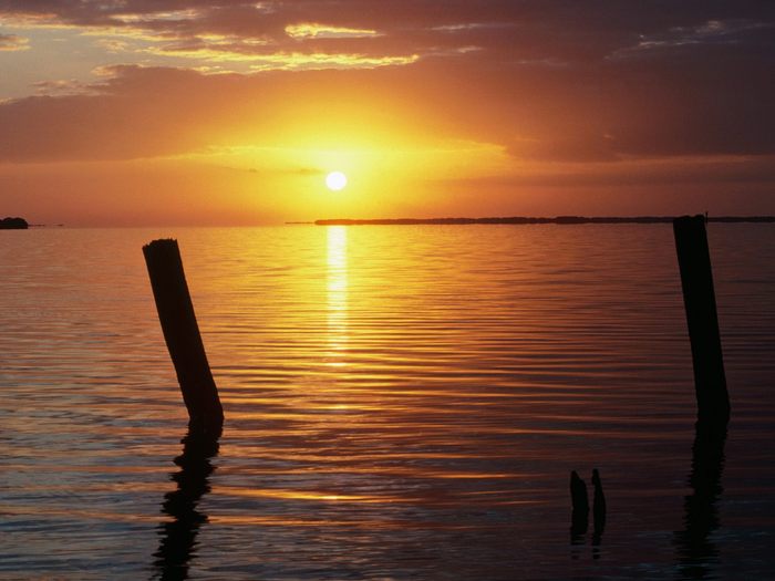 A New Day Begins, Everglades National Park, Florida - peisaje superbe rasarit apus de soare