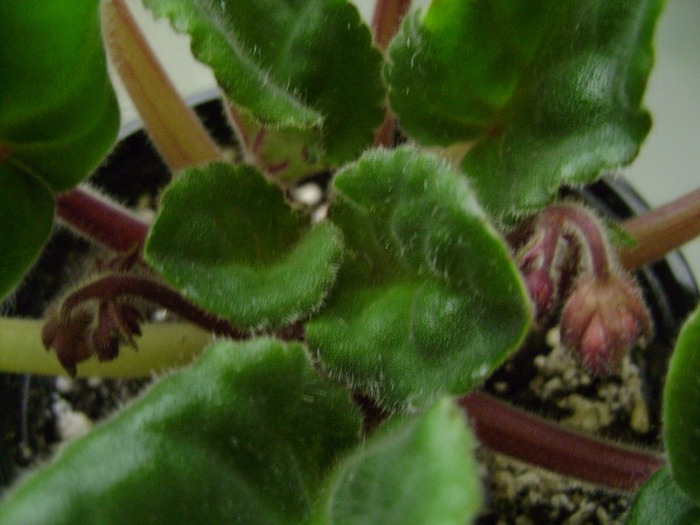 28apr2011