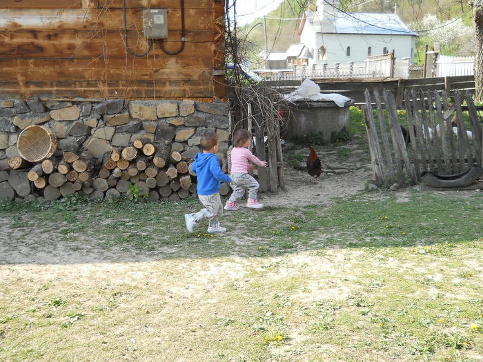 Picture (27) - in Cornesti la Nico