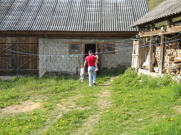 Picture (33) - in Cornesti la Nico